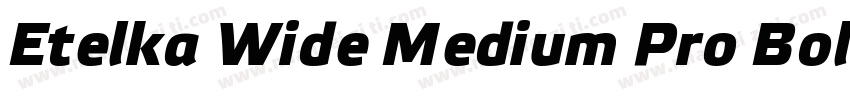 Etelka Wide Medium Pro Bold Italic字体转换